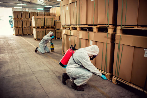 Best Pest Control for Homes  in Liberal, KS